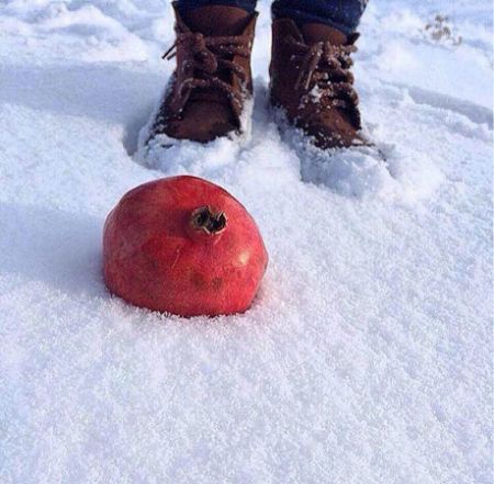 اخبار,اخبارورزشی,علی کریمی
