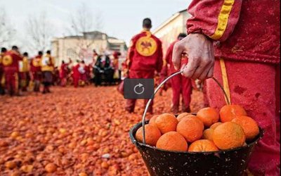 اخبار گوناگون,خبر های گوناگون,جشنواره پرتقال