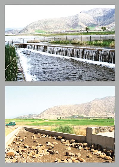اخبار,اخبار اجتماعی , تالاب زریوار مریوان