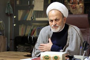 اخبار,اخبار سیاسی,شجونی