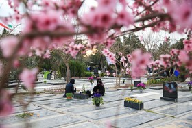 اخبار اجتماعی ,خبرهای اجتماعی ,بهشت زهرا اخبار اجتماعی ,خبرهای اجتماعی ,بهشت زهرا
