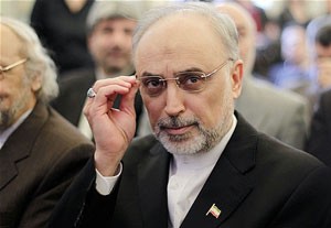 اخبار,اخبارسیاسی,علی اکبر صالحی