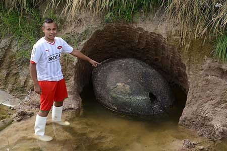 کشف تخم دایناسور در آرژانتین