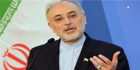  اخبارسیاسی ,خبرهای  سیاسی , صالحی