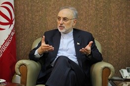  اخبارسیاسی ,خبرهای  سیاسی,علی اکبر صالحی 
