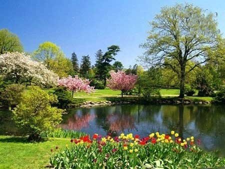 عکسهای جالب,تصاویر جالب