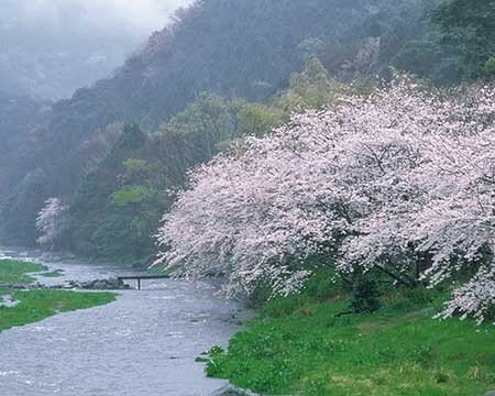 عکسهای جذاب,تصاویر دیدنی