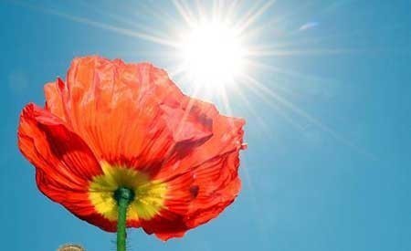 عکسهای جالب,تصاویر جالب
