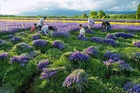 تصاویر دیدنی,تصاویر جالب