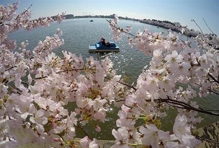 عکسهای جذاب,تصاویر دیدنی