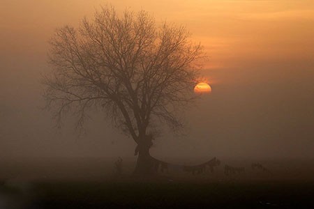 عکسهای جالب,عکسهای جذاب