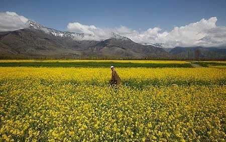 عکسهای جذاب,تصاویر دیدنی