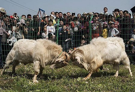 عکسهای جالب,تصاویر جالب