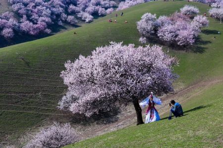 اخبارگوناگون,خبرهای گوناگون,دره هلو اخبارگوناگون,خبرهای گوناگون,دره هلو