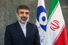  اخبارسیاسی ,خبرهای  سیاسی,سخنگوی سازمان انرژی اتمی 