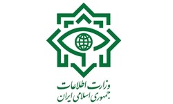 اخبارسیاسی,خبرهای سیاسی,وزارت اطلاعات