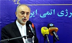  اخبارسیاسی ,خبرهای  سیاسی ,صالحی