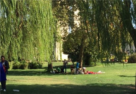   اخبارورزشی,خبرهای  ورزشی,ورزشگاه آزادی