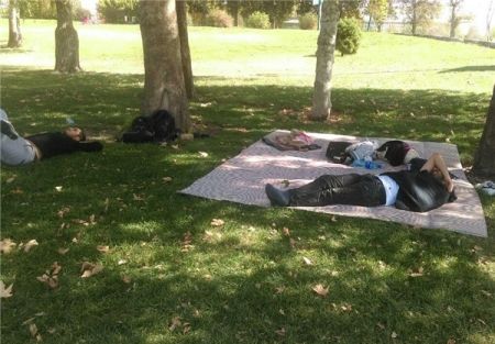   اخبارورزشی,خبرهای   ورزشی,تیم ایران و کره