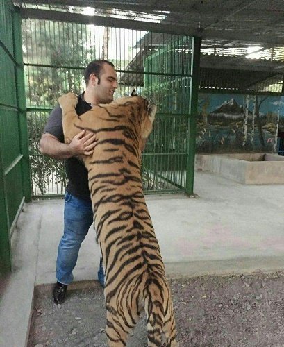   اخبارورزشی,خبرهای ورزشی,بهداد سلیم