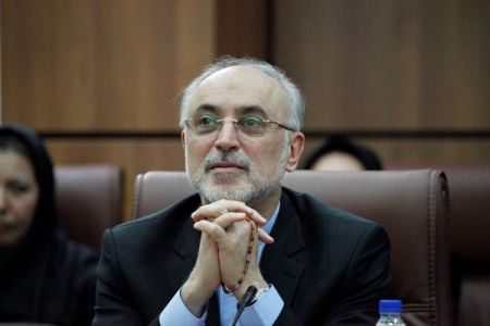   اخبارسیاسی ,خبرهای  سیاسی , صالحی