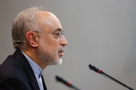   اخبارسیاسی ,خبرهای  سیاسی ,علی اکبر صالحی