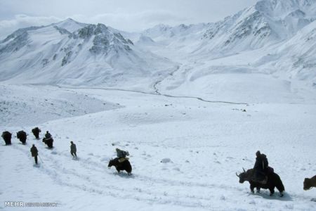 زیبایی های فصل زمستان‎