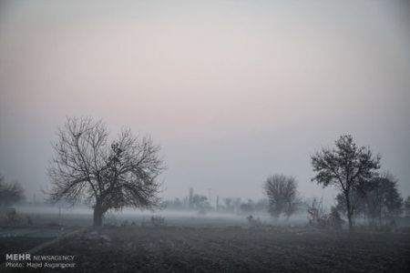   اخباراجتماعی  ,خبرهای   اجتماعی ,آسمان مه آلود تهرا