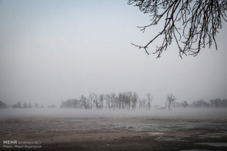   اخباراجتماعی  ,خبرهای   اجتماعی ,آسمان مه آلود تهرا