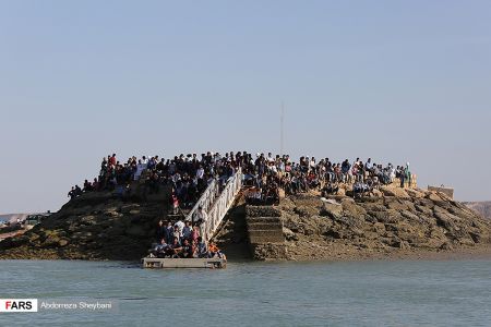 اخبار,عکس خبری,مسابقه قایق های «حوری» در جزیره قشم