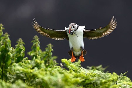 عکسهای جالب,تصاویر دیدنی