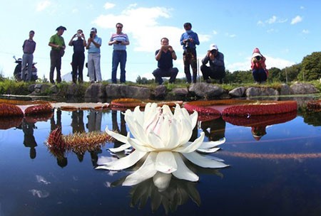 عکسهای جالب,تصاویر دیدنی