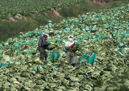 عکسهای جالب,تصاویر دیدنی