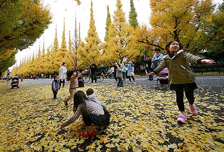 عکسهای جالب,عکسهای جذاب