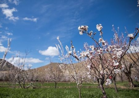 اخبار,انعکاس,طبیعت بهاری اردبیل