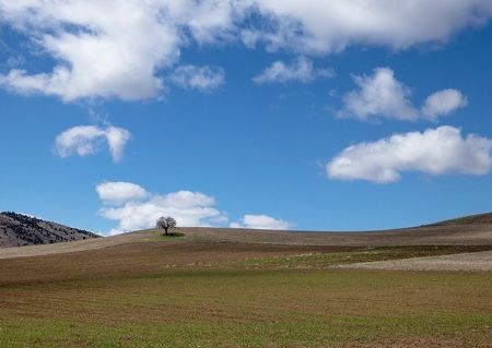 اخبار,انعکاس,طبیعت بهاری اردبیل