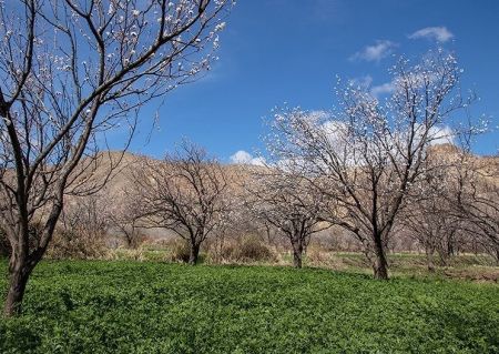 اخبار,انعکاس,طبیعت بهاری اردبیل