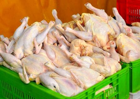   اخبار اقتصادی ,خبرهای اقتصادی, مرغ