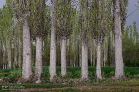 اخبار,انعکاس,بافت سنتی خوانسار