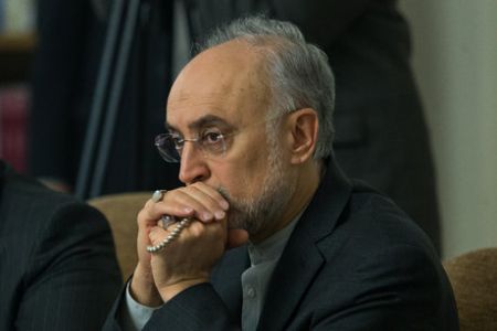   اخبارسیاسی ,خبرهای  سیاسی ,صالحی