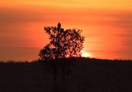   اخبار گوناگون,خبرهای  گوناگون,بزرگترین معدن اورانیوم جهان