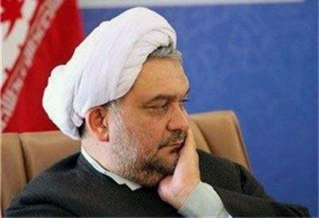   اخبارسیاسی ,خبرهای  سیاسی ,امیری فر