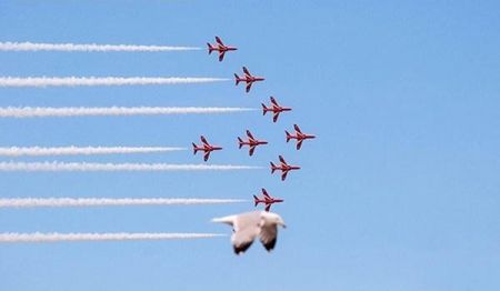   اخبارگوناگون ,خبرهای  گوناگون ,عکس‌های جالب
