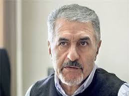   اخبارسیاسی ,خبرهای  سیاسی ,صفایی فراهانی 