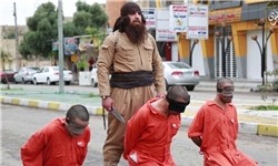   اخبارسیاسی ,خبرهای  سیاسی , تروریست