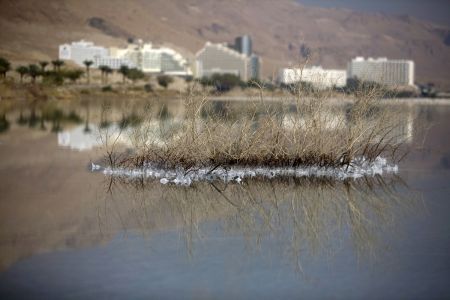    دریای مرده شورترین پهنه آبی جهان