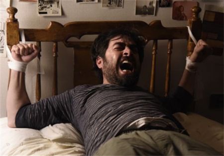 اخبار,اخبار فرهنگی وهنری,شهاب حسینی