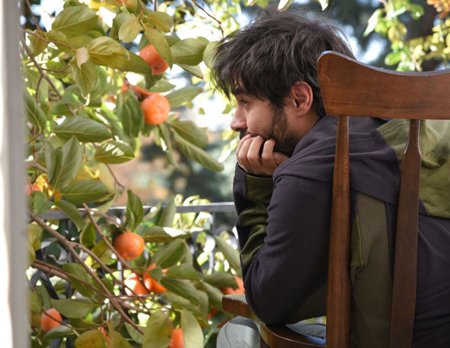 اخبار,اخبار فرهنگی وهنری,شهاب حسینی
