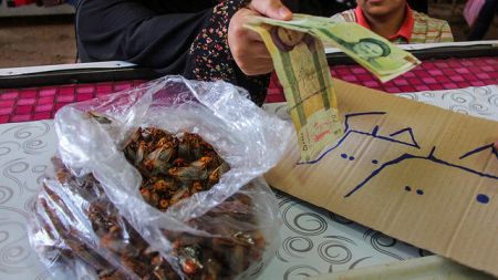 اخبار,اخبار گوناگون,چنزو