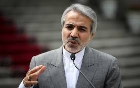   اخبارسیاسی ,خبرهای  سیاسی , سخنگوی دولت
